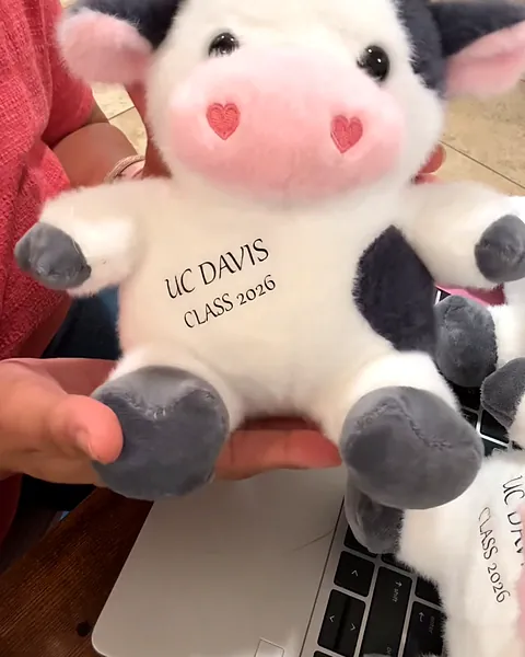 Hand holding a plush cow personalized on its belly with UC Davis Class 2026